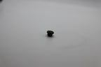 Plug - rubber hole cover