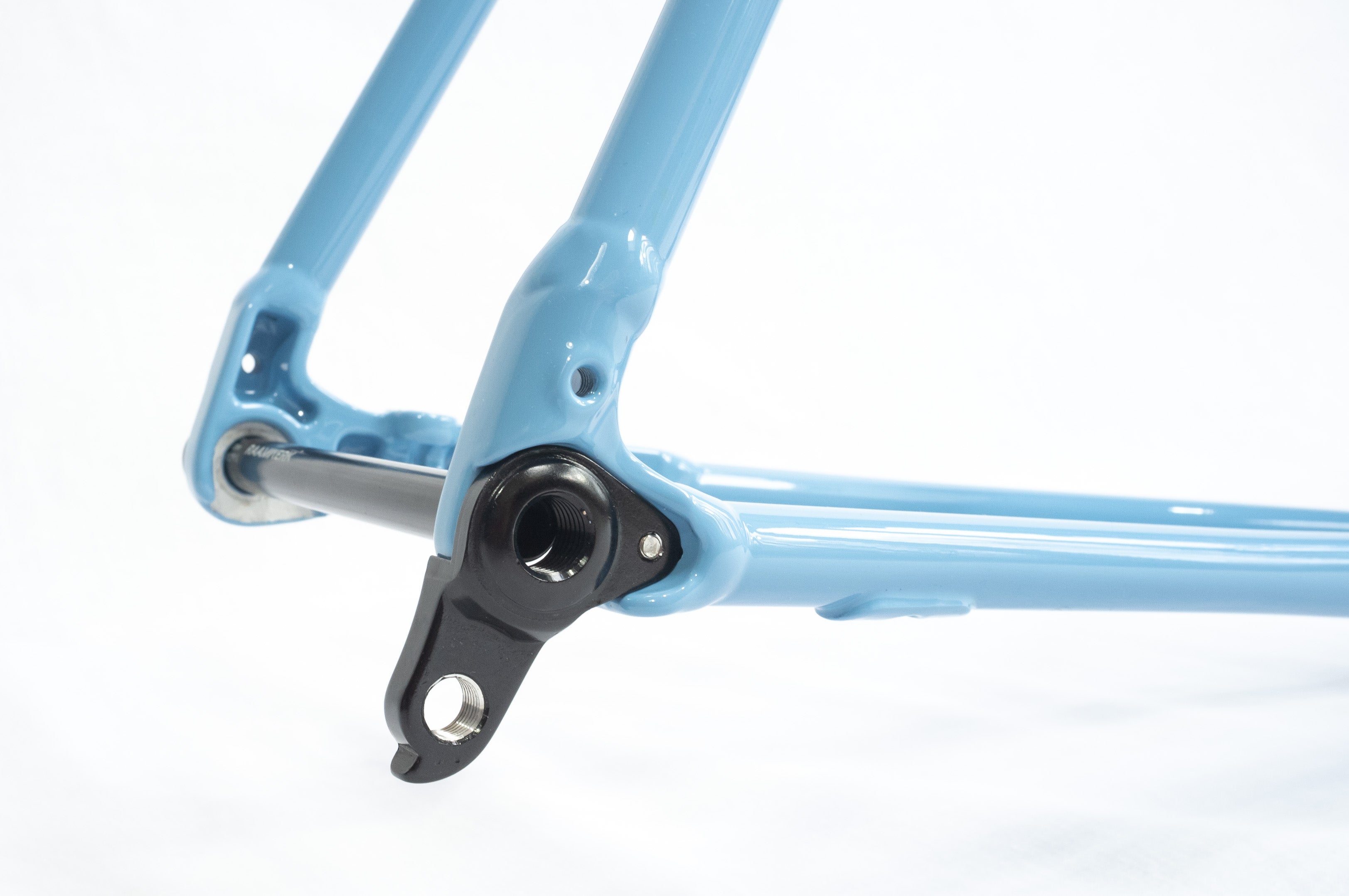 Derailleur hanger