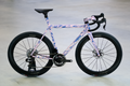 Bike Parallel Disc Salmon Sparkle